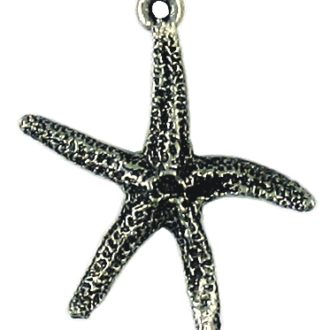 CH482_starfish